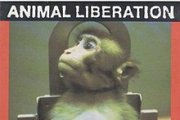 Wiki 84b73e5c-d8a1-469d-8a5c-35317f71ad3a