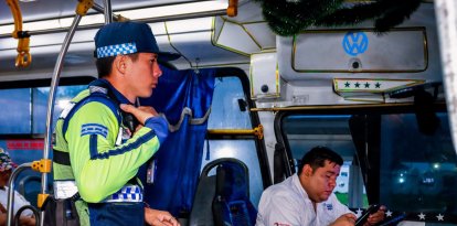 Revisión policial