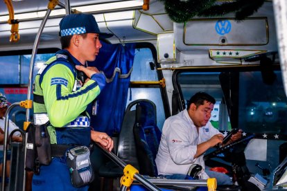 Revisión policial