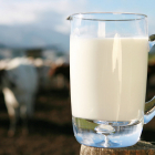 Leche