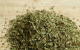 Oregano