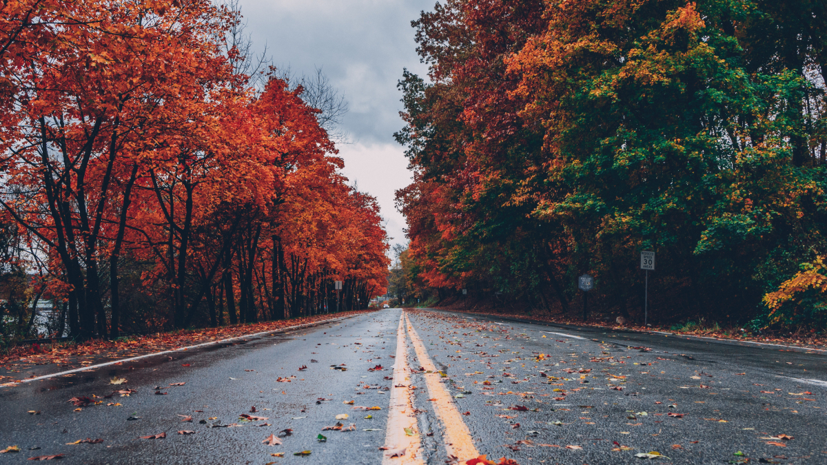 Otoño