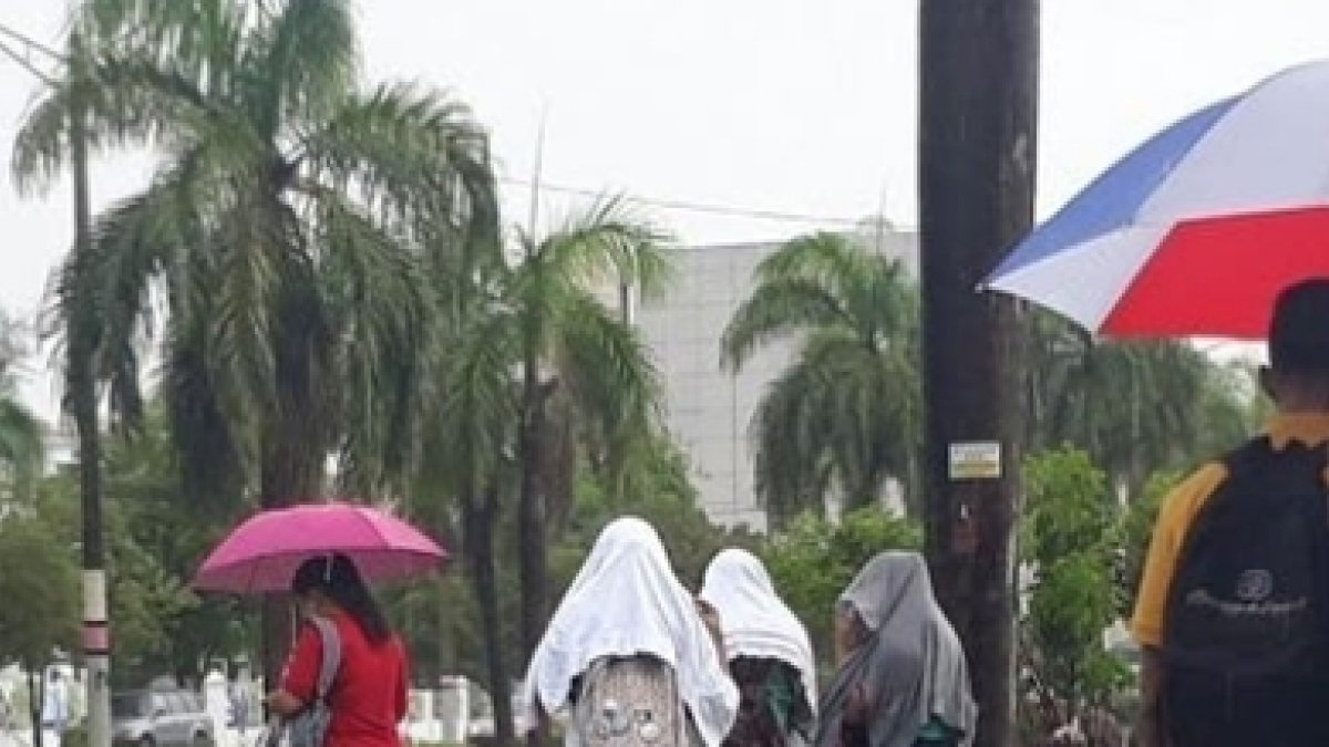 LLUVIAS 24
