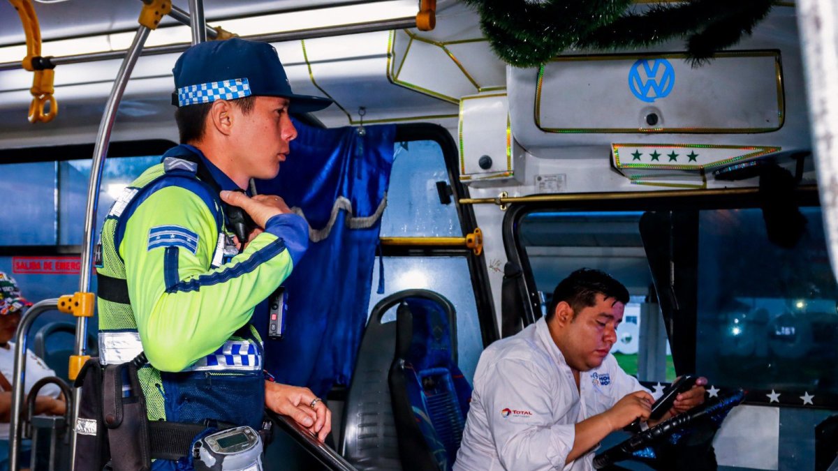 Revisión policial